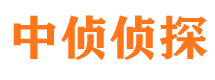 阜城调查公司